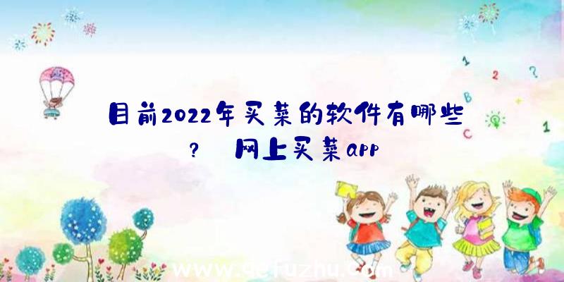 目前2022年买菜的软件有哪些？